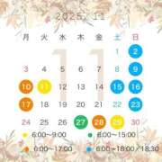 ヒメ日記 2025/10/28 21:33 投稿 あさひ CECIL