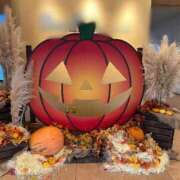 ヒメ日記 2025/10/31 22:29 投稿 あさひ CECIL