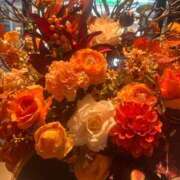 ヒメ日記 2025/11/03 10:22 投稿 あさひ CECIL