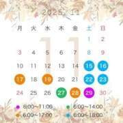 ヒメ日記 2025/11/11 00:00 投稿 あさひ CECIL