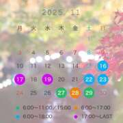 ヒメ日記 2025/11/15 23:53 投稿 あさひ CECIL