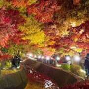 ヒメ日記 2025/11/23 10:02 投稿 あさひ CECIL