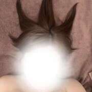 ヒメ日記 2026/01/18 08:26 投稿 あさひ CECIL