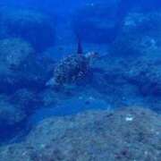 ヒメ日記 2026/02/27 20:27 投稿 あさひ CECIL