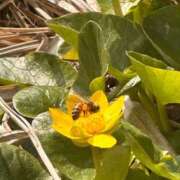 ヒメ日記 2026/03/06 12:46 投稿 あさひ CECIL