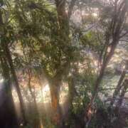 ヒメ日記 2026/03/24 10:34 投稿 あさひ CECIL