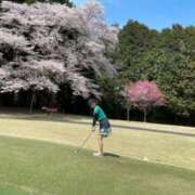 ヒメ日記 2026/04/06 07:37 投稿 あさひ CECIL