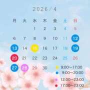 ヒメ日記 2026/04/11 13:44 投稿 あさひ CECIL