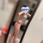 ヒメ日記 2026/04/14 23:34 投稿 あさひ CECIL