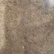 ヒメ日記 2026/04/21 06:30 投稿 あさひ CECIL