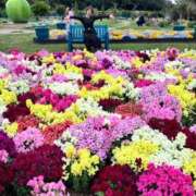 ヒメ日記 2026/04/23 22:23 投稿 あさひ CECIL