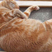 ヒメ日記 2025/02/22 21:33 投稿 あん エロティックマッサージ 錦糸町