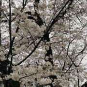 ヒメ日記 2025/04/04 22:26 投稿 あん エロティックマッサージ 錦糸町