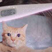 ヒメ日記 2025/05/22 14:37 投稿 あん エロティックマッサージ 錦糸町