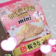 ヒメ日記 2026/03/05 20:03 投稿 あん エロティックマッサージ 錦糸町