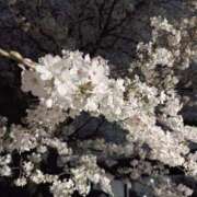 あん 明日は出勤です😘 エロティックマッサージ 錦糸町