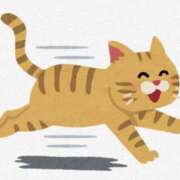 ヒメ日記 2026/05/09 13:04 投稿 あん エロティックマッサージ 錦糸町