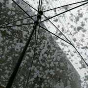 ヒメ日記 2025/03/19 10:01 投稿 鶴田 熟女の風俗最終章　鶯谷店