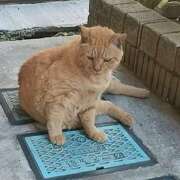 ヒメ日記 2025/07/21 09:36 投稿 鶴田 熟女の風俗最終章　鶯谷店