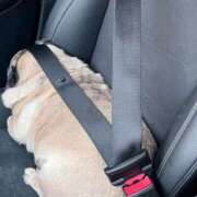 ヒメ日記 2025/07/24 16:36 投稿 鶴田 熟女の風俗最終章　鶯谷店