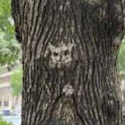 ヒメ日記 2025/07/24 17:26 投稿 鶴田 熟女の風俗最終章　鶯谷店