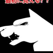 ヒメ日記 2025/07/26 01:26 投稿 鶴田 熟女の風俗最終章　鶯谷店