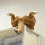 ヒメ日記 2025/07/26 01:59 投稿 鶴田 熟女の風俗最終章　鶯谷店