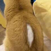 ヒメ日記 2025/07/26 02:46 投稿 鶴田 熟女の風俗最終章　鶯谷店