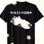 ヒメ日記 2025/07/29 08:26 投稿 鶴田 熟女の風俗最終章　鶯谷店