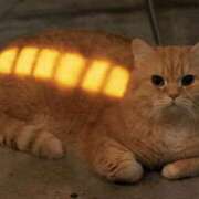 ヒメ日記 2025/08/02 23:46 投稿 鶴田 熟女の風俗最終章　鶯谷店