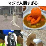 ヒメ日記 2025/08/16 17:06 投稿 鶴田 熟女の風俗最終章　鶯谷店