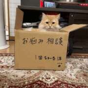 ヒメ日記 2025/08/16 17:20 投稿 鶴田 熟女の風俗最終章　鶯谷店