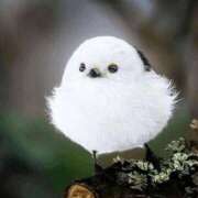 ヒメ日記 2025/08/16 17:56 投稿 鶴田 熟女の風俗最終章　鶯谷店