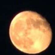 ヒメ日記 2025/09/08 19:46 投稿 鶴田 熟女の風俗最終章　鶯谷店