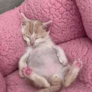 鶴田 可愛い♥️ 熟女の風俗最終章　鶯谷店