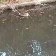 ヒメ日記 2026/02/14 18:06 投稿 鶴田 熟女の風俗最終章　鶯谷店