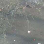 鶴田 ウォーキング🚶‍♀️ 熟女の風俗最終章　鶯谷店