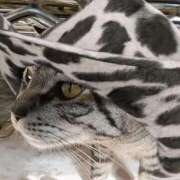 ヒメ日記 2026/04/08 16:26 投稿 鶴田 熟女の風俗最終章　鶯谷店