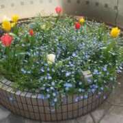 ヒメ日記 2026/04/08 17:18 投稿 鶴田 熟女の風俗最終章　鶯谷店