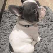 ヒメ日記 2026/04/15 18:36 投稿 鶴田 熟女の風俗最終章　鶯谷店