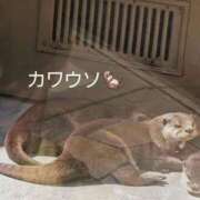 ヒメ日記 2026/05/02 19:36 投稿 鶴田 熟女の風俗最終章　鶯谷店