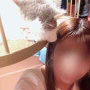 ヒメ日記 2025/02/13 12:08 投稿 優梨花(ゆりか) 人妻城 横浜本店