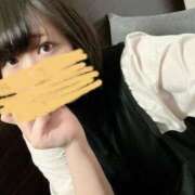 ヒメ日記 2025/04/17 16:01 投稿 ちはる先生 葛西コスプレメイド学園（シンデレラグループ）