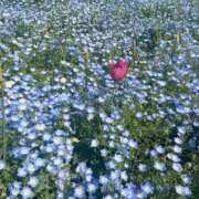 ヒメ日記 2025/04/29 11:53 投稿 江国 しずか 妄想する女学生たち 梅田校