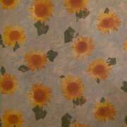 ヒメ日記 2025/10/25 20:13 投稿 江国 しずか 妄想する女学生たち 梅田校