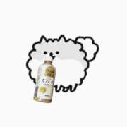 ヒメ日記 2025/11/04 14:16 投稿 江国 しずか 妄想する女学生たち 梅田校