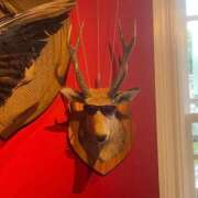 ヒメ日記 2025/11/23 18:33 投稿 ぜろ チューリップ姫路店