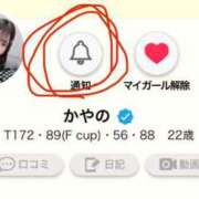 ヒメ日記 2025/02/12 12:04 投稿 かやの チューリップ福井本館