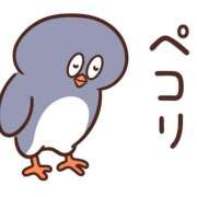 ヒメ日記 2025/03/22 16:14 投稿 かやの チューリップ福井本館