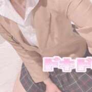 ヒメ日記 2025/05/13 18:11 投稿 かやの チューリップ福井本館